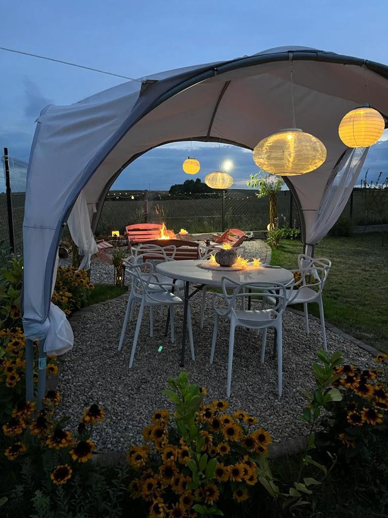 Liwa Garden Krzywa 11 Apartment Bagian luar foto