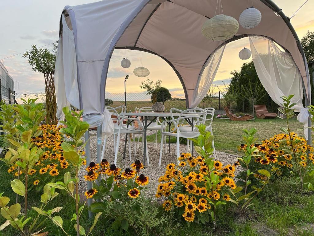 Liwa Garden Krzywa 11 Apartment Bagian luar foto